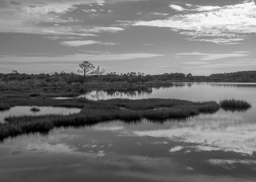 Photo of marshes with clouds
